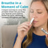 Set Wild Essentials Autumn Dance Aromatherapy Gift Inhaler, Roll-On, Room Spray & Essential Oil Seasonal Comfort Blend