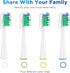 Replacement Brush Heads for Waterpik Sensonic Complete Care Toothbrush, Compact White, 10 Count with Covers