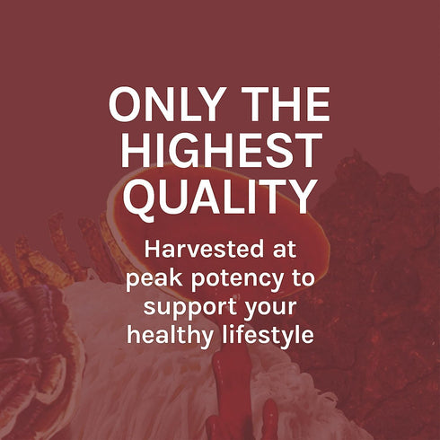 Immune 1 oz (30 Host Defense Reishi Extract - Heart & Health Support Supplement - Mushroom Supplement to Support Energy