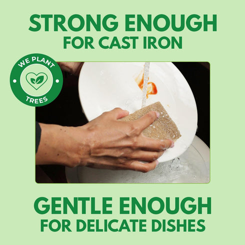 10 Pack Biodegradable Natural Kitchen Sponge, Compostable Cellulose and Coconut Walnut Scrubber Sponges
