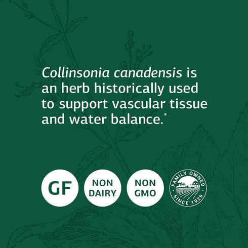 Standard Process Collinsonia Root - Whole Food Vascular Supplement, 150 Capsules