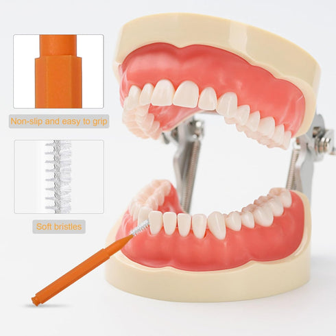 100pcs Interdental, Tooth Flossing Head Cleaning Brush Braces Brush Toothpicks Oral Cleaners
