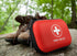 Mini First Aid Kit, 100 Pieces Water-Resistant Hard Shell Small Case for Travel, Outdoor, Home, Office, Camping, Hiking
