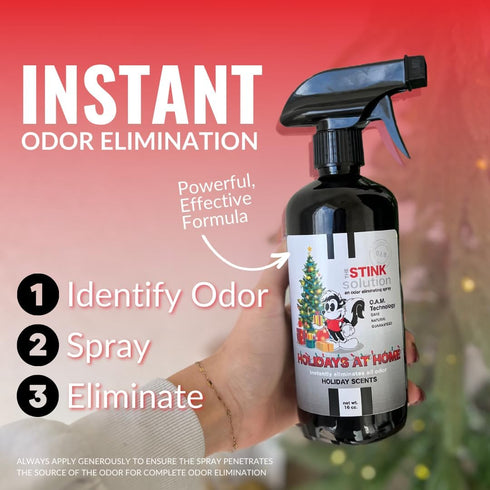 Holiday Odor Eliminating Spray for Must & Leftover Food - Safe to Spray on Skin & Furniture - 2 Bottles (16 oz)