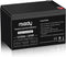 Miady 12V 9Ah Rechargeable Sealed Lead Acid Battery (1 Pack)