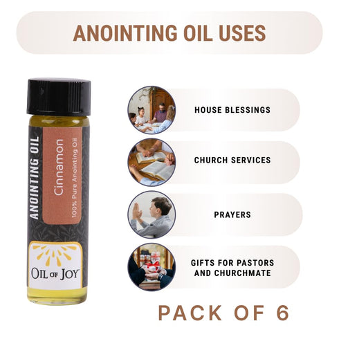 Swanson Christian Products 1/4 OZ PK6 ANOINTING Oil Cinnamon