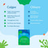 Vegan Omega-3: 450mg DHA & EPA - Plant-Based Algae Oil for Brain, Heart, & Joint Health - 60 Ct