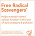 NOW Supplements Rutin 450 mg | 100 Veg Capsules | Free Radical Scavenger & Cell Defense Support