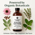 The Goodbye Company Healthy Gum Rinse Handcrafted Natural Mouthwash for Bleeding Gums, Receding Gums & Fresh Breath |