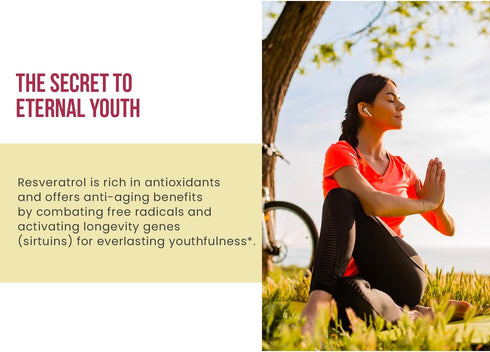 Ancient Bliss Resveratrol Antioxidant Supplement with Green Tea & Grape Seed Extract for Vitality & Immune Support