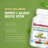 NEW ROOTS HERBAL Wormwood (100 Veg Caps) - Non-GMO & Gluten Free - Support for Appetite, Digestion, Intestinal Balance
