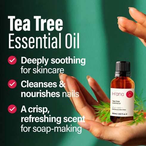 H'ana Tea Tree Essential Oil - 100% Pure and Natural Tea Tree Oil for Skin, Hair, Face, and Aromatherapy