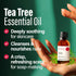 H'ana Tea Tree Essential Oil - 100% Pure and Natural Tea Tree Oil for Skin, Hair, Face, and Aromatherapy