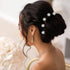inSowni 128 Pack U-shaped Silver Pearl Flower Rhinestone Crystal Hair Pins + Spiral Twist Hair Clips for Brides, Women,