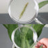 MAGDEPO 3X Handheld Magnifier, 2-in-1 Clear Acrylic Magnifying Glass with Bar Handle for Reading Small Prints