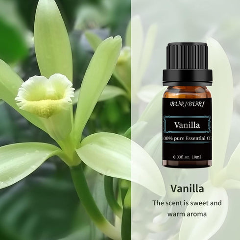 Set 2 Pack, 100% Eucalyptus and Vanilla Essential Oil Pure Diffuser Oil for Massage, Soap Making