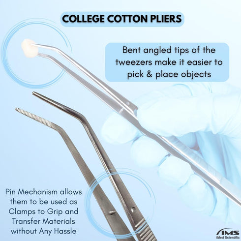 Professional Dental Tartar Scraper Tool, Oral Picks for Removing Calculus, Plaque Remover, Stainless Steel