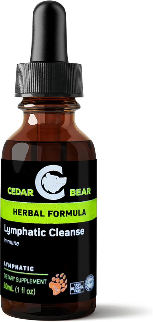 Cedar Bear - Lymphatic Cleanse Immune Support Supplement, Alcohol-Free Lymphatic Drainage Drops, 1 fl oz