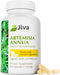 Jiva Botanicals Artemisia Annua Sweet Wormwood Capsules, Supports Immune System & Liver Health, 90 Capsules