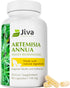 Jiva Botanicals Artemisia Annua Sweet Wormwood Capsules, Supports Immune System & Liver Health, 90 Capsules