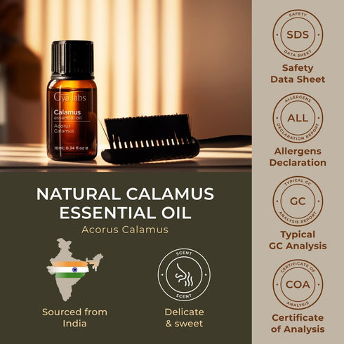 Set Set 2x0.34 oz Calamus & Myrrh Essential Oil - Aromatherapy Grade Essential Oils - fl - Gya Labs