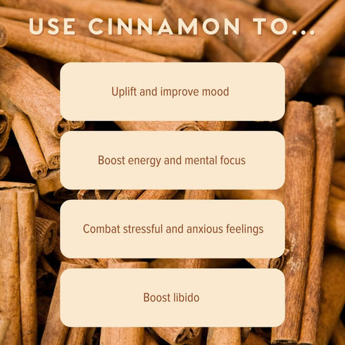 MOXE Cinnamon Essential Oil Nasal Inhaler | 100% Pure Therapeutic Aromatherapy for Focus & Relaxation