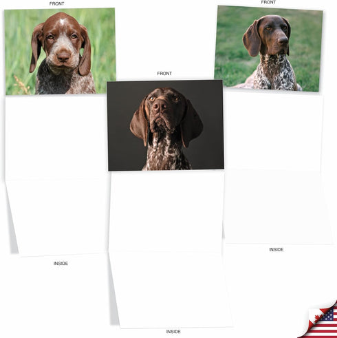 The Best Card Company - 10 Adorable Blank Dog Cards (4 x 5.12 Inch) - Assorted Pet Breeds, Boxed Set
