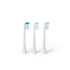 Elements Toothbrush Heads, Compatible with Elements Sonic Toothbrush, Small Firm Bristles, Pack of 3