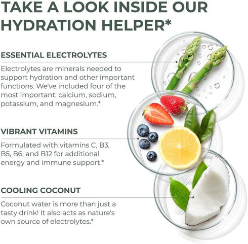 Primal Harvest Electrolytes Powder Packets - Easy Open Hydration Drink Mix (Lemon Berry, 30 Packs)