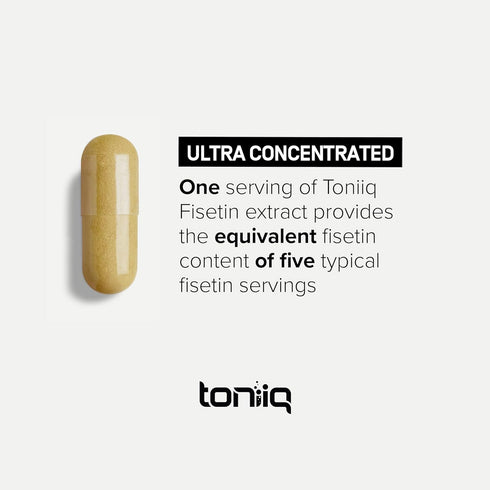 Toniiq Ultra High Purity Fisetin 500mg, 98%+ Bioavailable Fisetin Supplement with MCT Oil, 60 Capsules