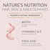 Sugar Free Hair Vitamins Gummies - 60 Gummies - with Biotin 5000 mcg, Vitamin A, B12, C, D, E