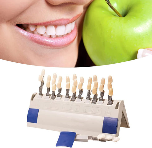 29 Colors Teeth Whitening Shade Chart, Individually Removable Tooth Bleaching Comparison