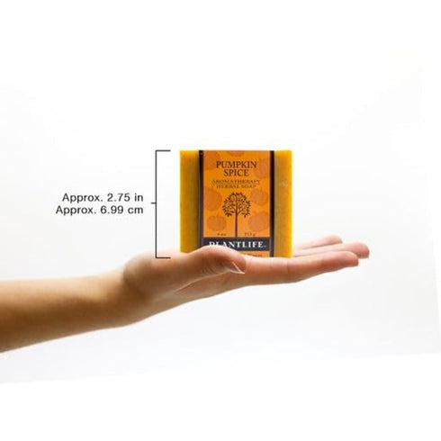 Plantlife Pumpkin Spice Bar Soap, Moisturizing and Soothing, 4oz Bar