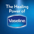 Vaseline Lip Balm Aloe Vera (20g/0.705oz, 6X20g/0.705oz)