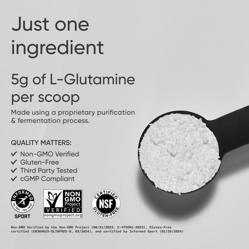 Sports Research L-Glutamine, Workout Recovery & Immune Health Support, 17.64 Oz