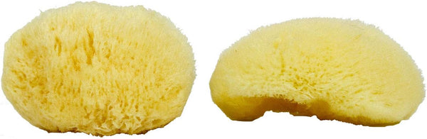 Sea Silk Sponge Kit, 2pc Hand Cut Medium, Approx. 2-3 inches, Ideal for Cosmetic Use and Facial Cleansing