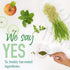 Garden of Life Raw Organic Perfect Food Energizer Juiced Green Superfood Powder - Yerba Mate Pomegranate, 30 Servings,