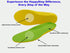 1 Pair Wide Fit Insoles - Plantar Fasciitis Orthotics PU Memory Foam Comfort Shoe Inserts for Men and Women