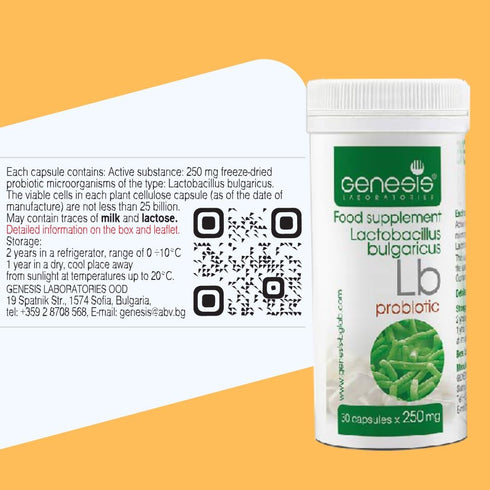 Probiotic Lactobacillus Supplement, 30 Capsules with 250 mg Lactobacillus Bulgaricus for Digestive Immune Support
