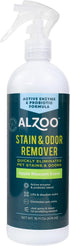 Stain & Odor Remover, 16 Fl. Oz Spray Bottle, Quickly Lifts Pet Stains & Eliminates Odors with Apple Blossom Scent
