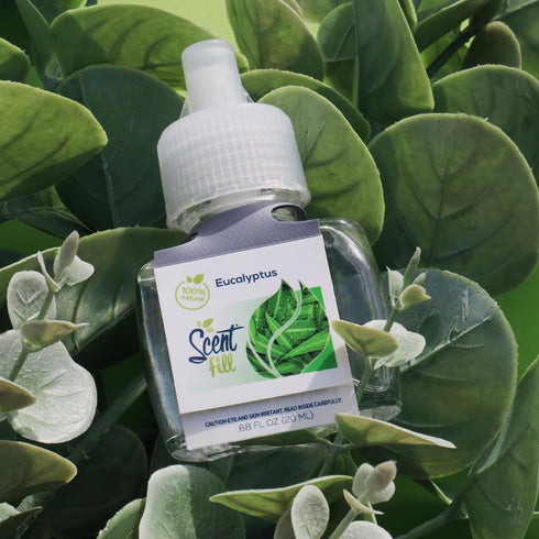 Scent Fill 100% Natural Eucalyptus Plug in Air Freshener - 2 Refills + Diffuser