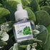 Scent Fill 100% Natural Eucalyptus Plug in Air Freshener - 2 Refills + Diffuser