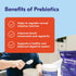 Begin Health Daily Growing Up Prebiotics 28-Pack, Kids Digestion Powder for Constipation, Fiber Rich with Chicory Root