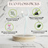 Floss Picks (6 Pack, 300 Pieces) Reusable Eco-Friendly Natural Bamboo Tooth Picks Flossers for Oral Care