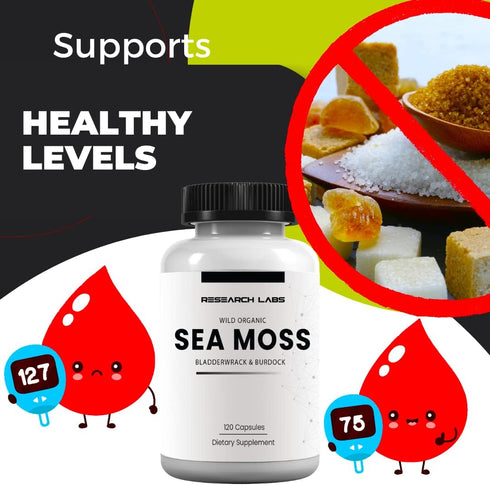 Research Labs 2 Fer 1 Ad Organic Irish Sea Moss Capsules, 240 Total Pills, Raw Wildcrafted Seamoss with Bladderwrack &