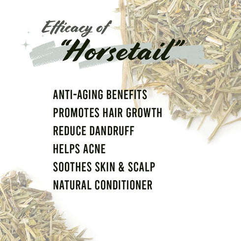 Well's Herb Dried Horsetail | 0.5 oz. | 100% Natural Herbal Ingredient for DIY Beauty Essential
