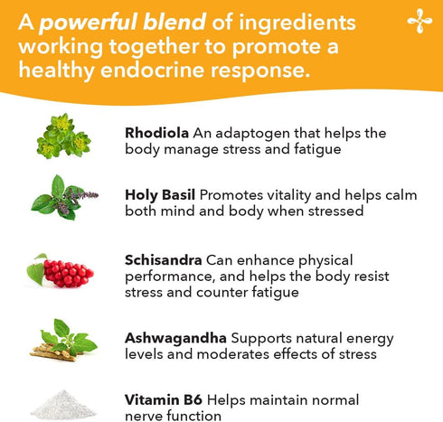 LifeSeasons Adrenal-T - Adrenal Fatigue Support Supplement, 60 Capsules with Ashwagandha