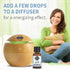 Garden of Life Peppermint Essential Oil, 0.5 fl oz (15 mL), 100% USDA Organic for Diffuser & Aromatherapy