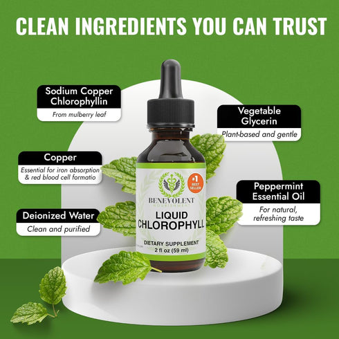 Immune Benevolent Nourishment Chlorophyll Supplement, Detox & Support, Internal Deodorizer, Liquid Drops