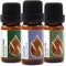 Set Forest Magic - Organic Essential Oils - Scotch Pine + Juniper